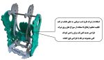 تاب-دلفین